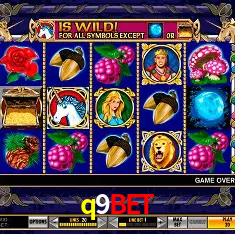 q9bet Brasília - Casino Guide