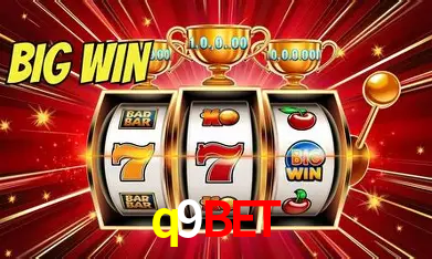 q9bet Rio de Janeiro - Bonus Terms