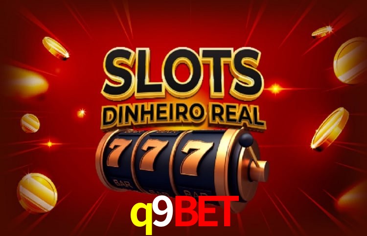 q9bet Salvador - Support